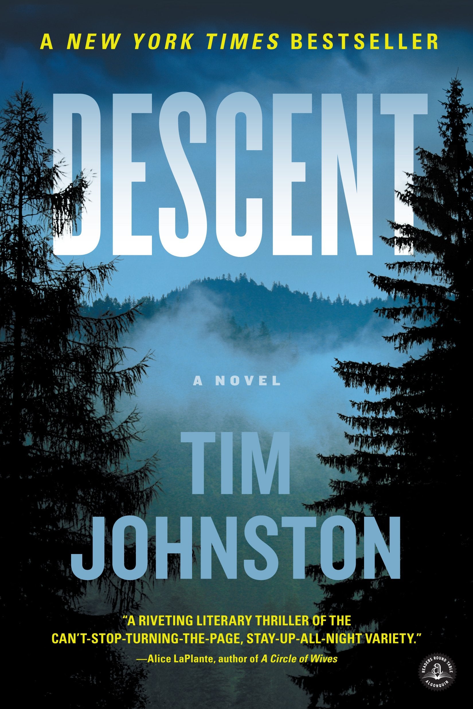 Descent: A Novel The Happy Book Stack