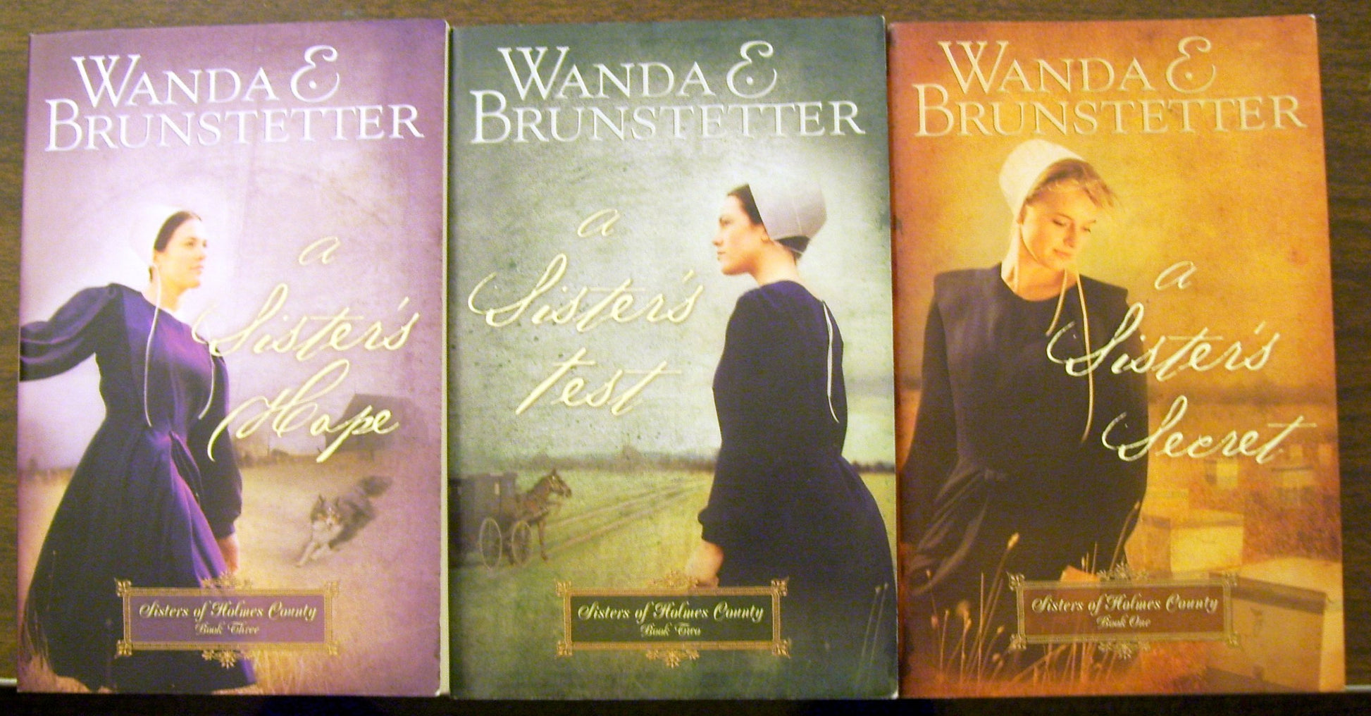 Sisters of Holmes County The Happy Book Stack