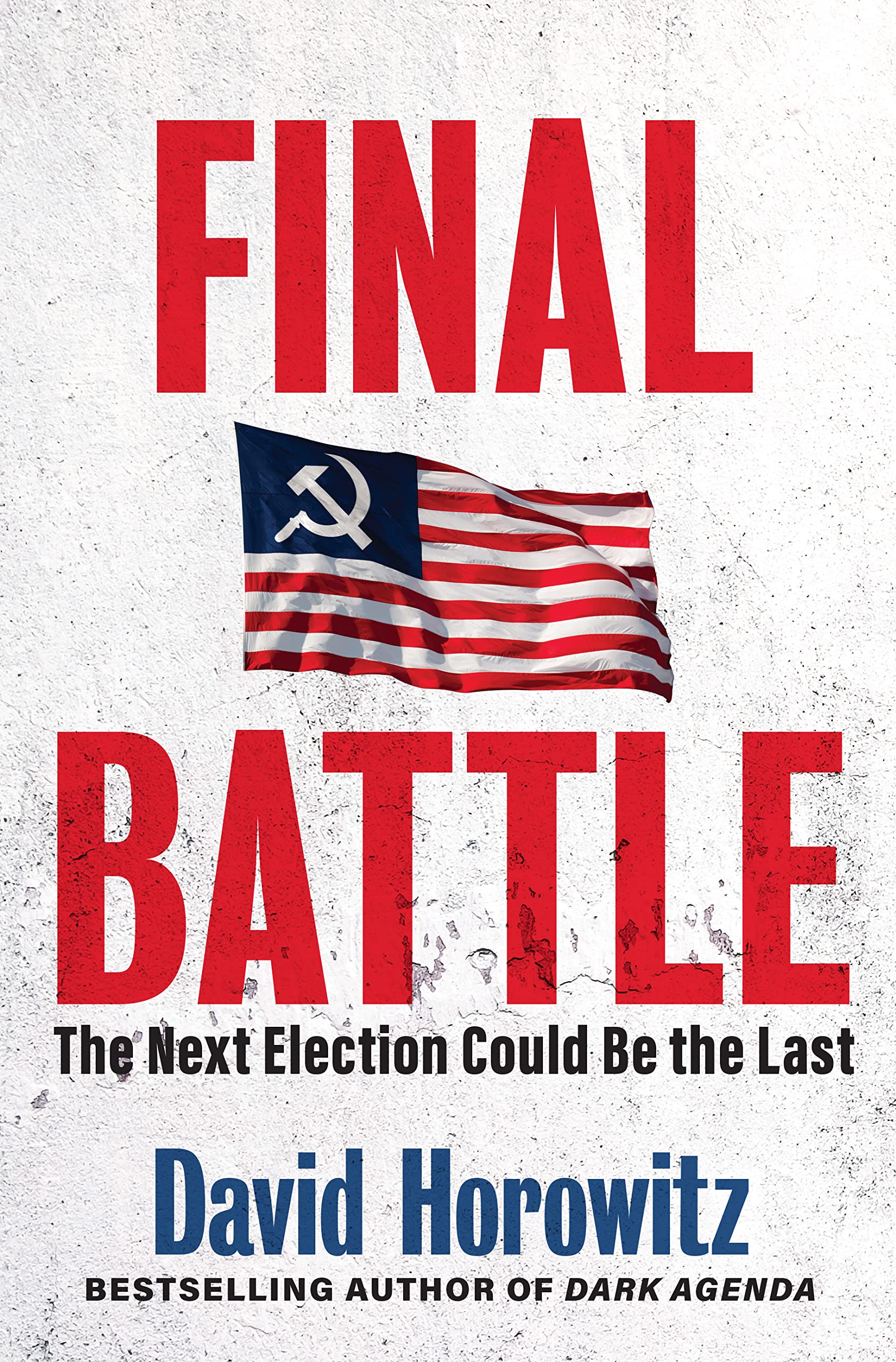 Final Battle: The Next Election Could Be the Last The Happy Book Stack