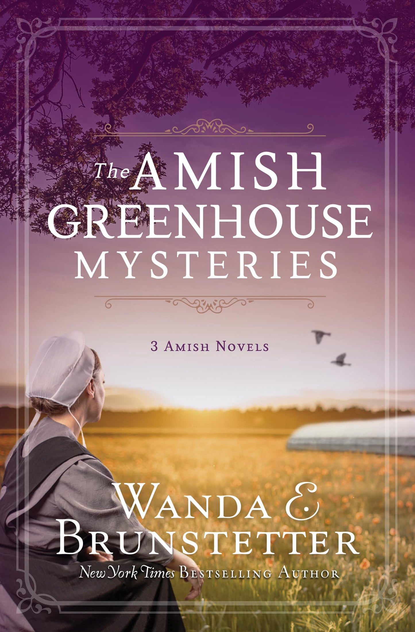 The Amish Greenhouse Mysteries The Happy Book Stack