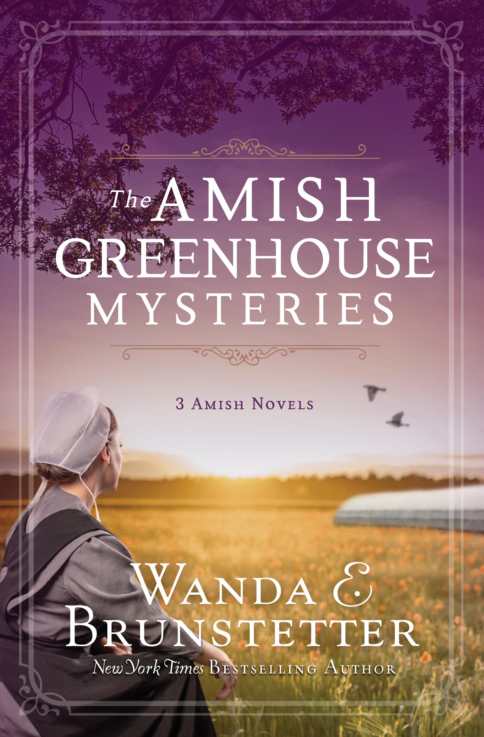 The Amish Greenhouse Mysteries The Happy Book Stack