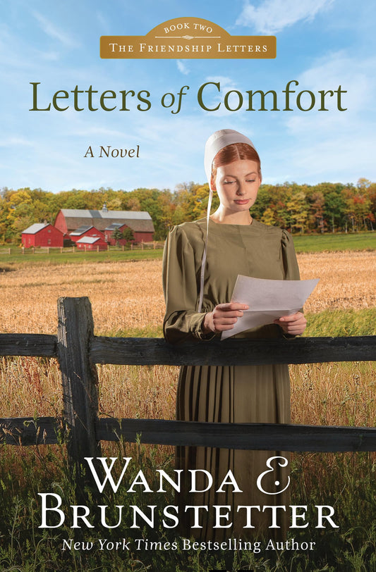 Letters of Comfort (Friendship Letters, 2) The Happy Book Stack