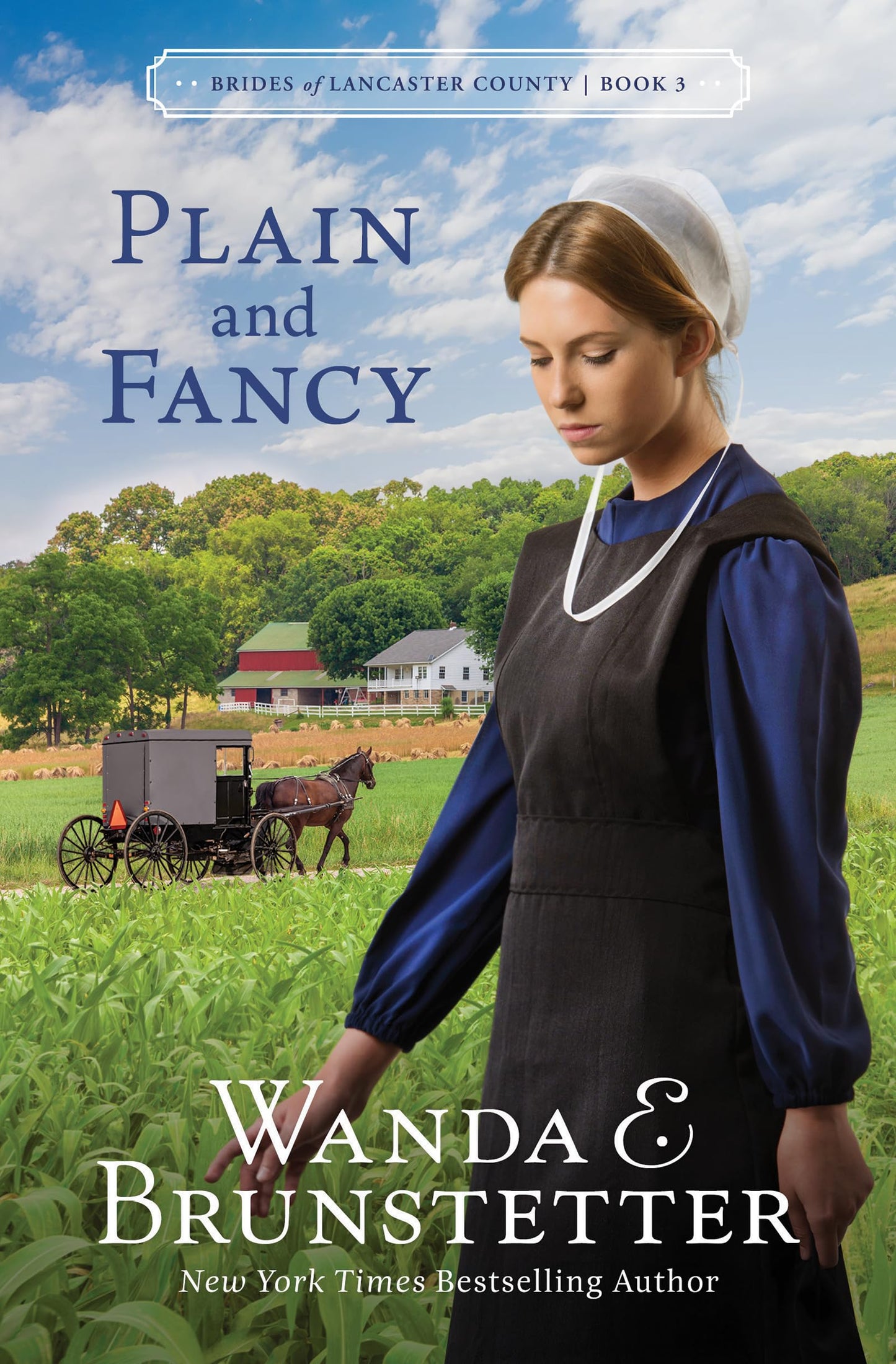 Plain and Fancy (Brides of Lancaster County, 3) The Happy Book Stack