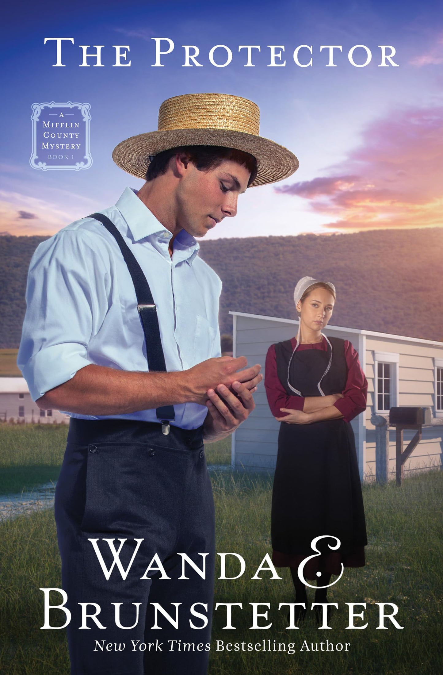 The Protector: A Mifflin County Mystery (1) The Happy Book Stack