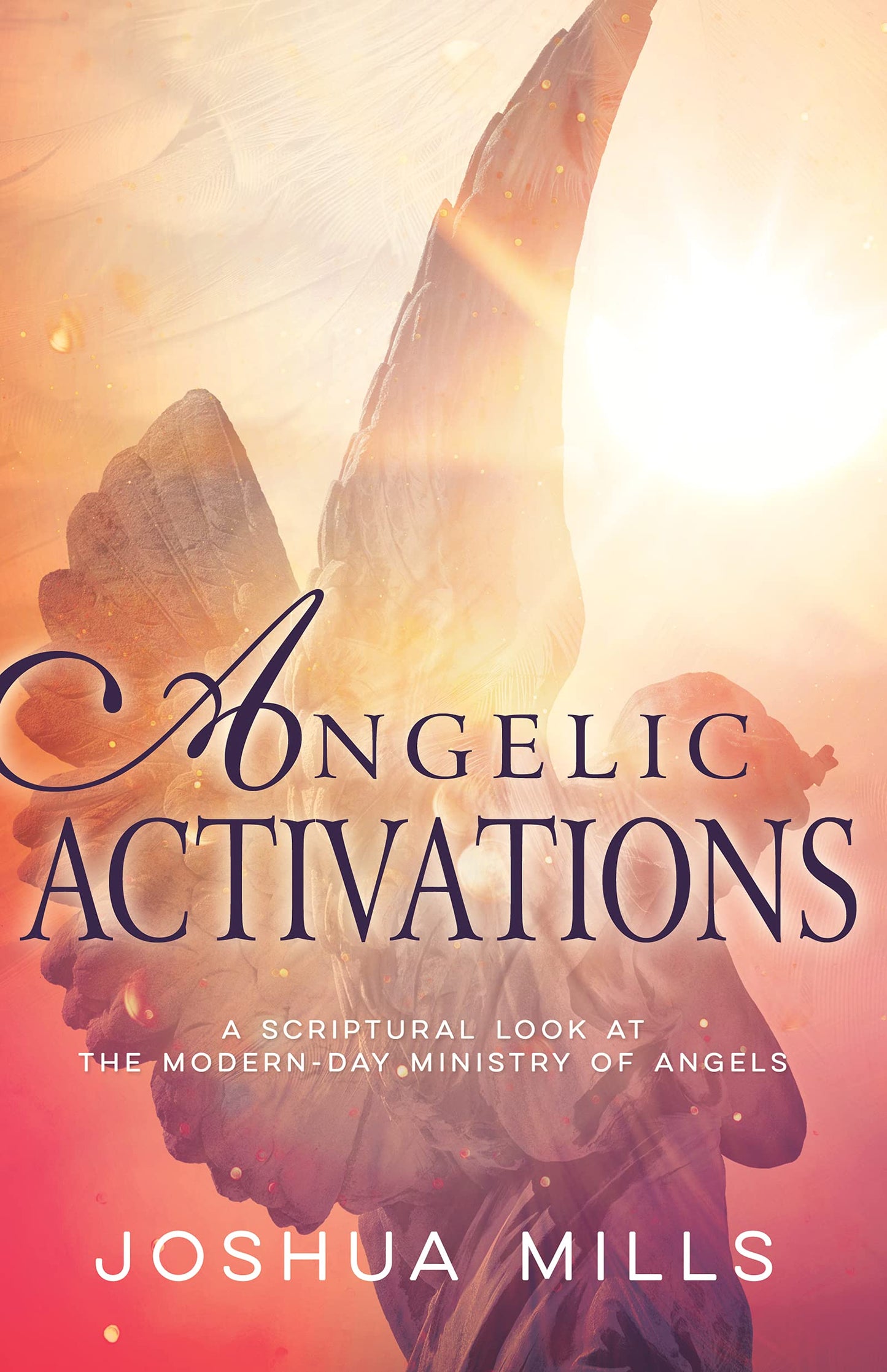 Angelic Activations: A Scriptural Look at the Modern-Day Ministry of Angels The Happy Book Stack