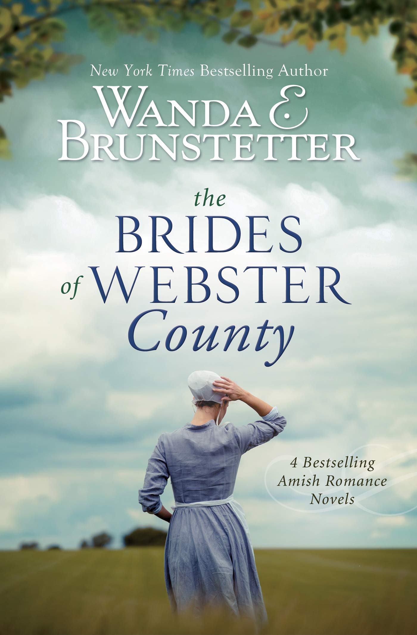 The Brides of Webster County The Happy Book Stack