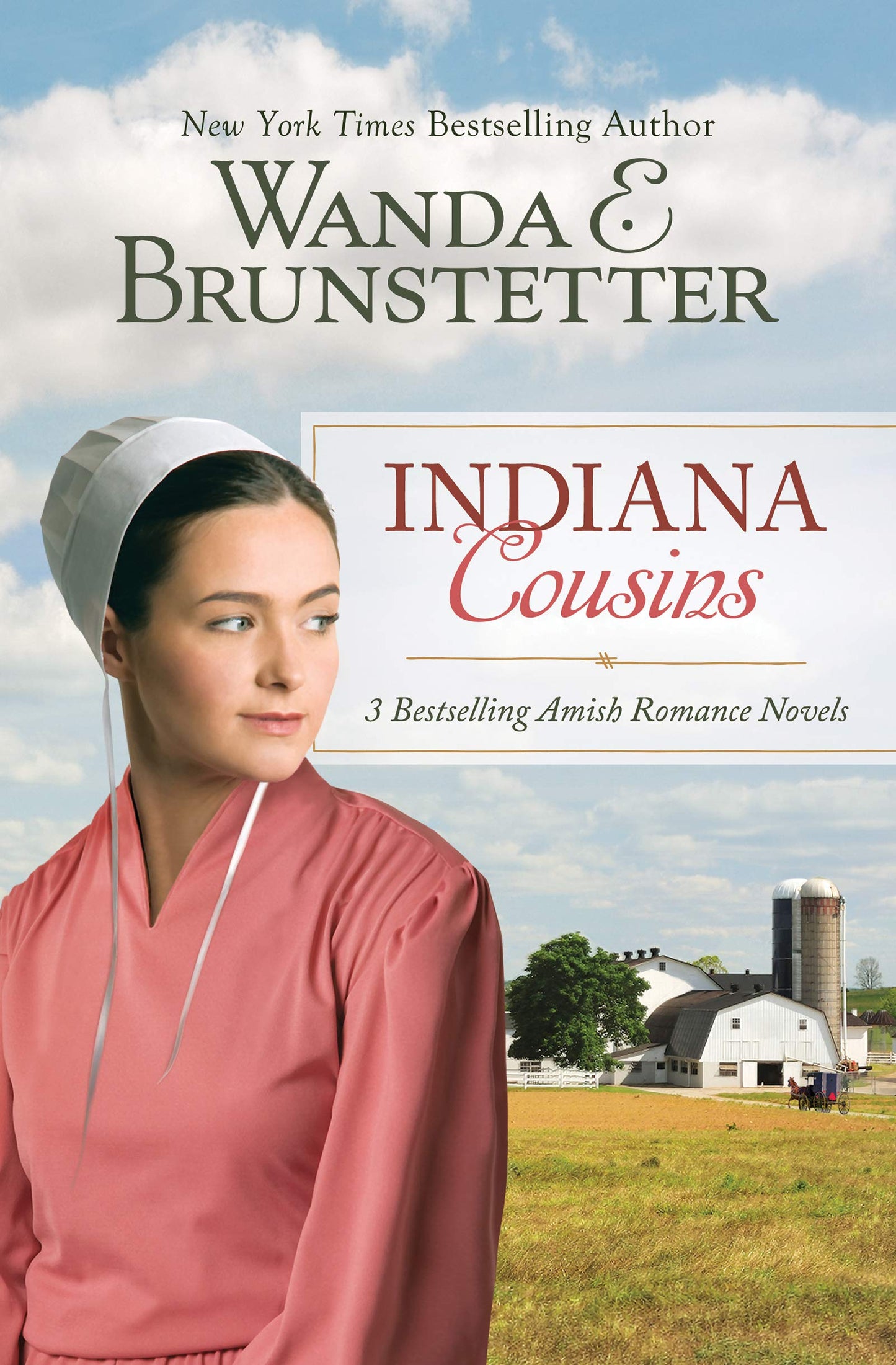 Indiana Cousins Trilogy The Happy Book Stack