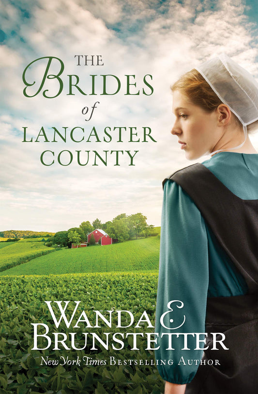 The Brides of Lancaster County The Happy Book Stack