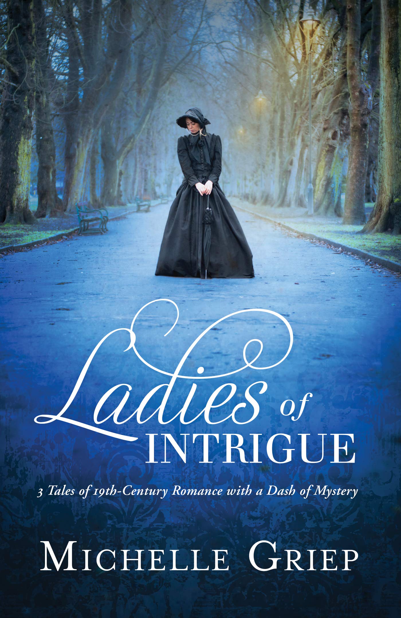 Ladies of Intrigue: 3 Tales of 19th-Century Romance with a Dash of Mystery The Happy Book Stack
