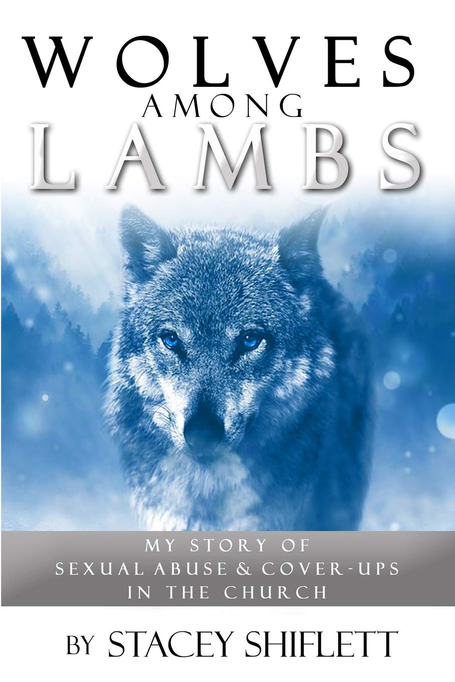 Wolves Among Lambs: My Story of Sexual Abuse & Cover-ups In The Church - 8039