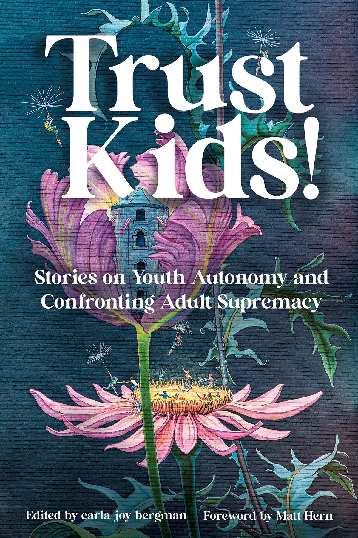 Trust Kids!: Stories on Youth Autonomy and Confronting Adult Supremacy The Happy Book Stack
