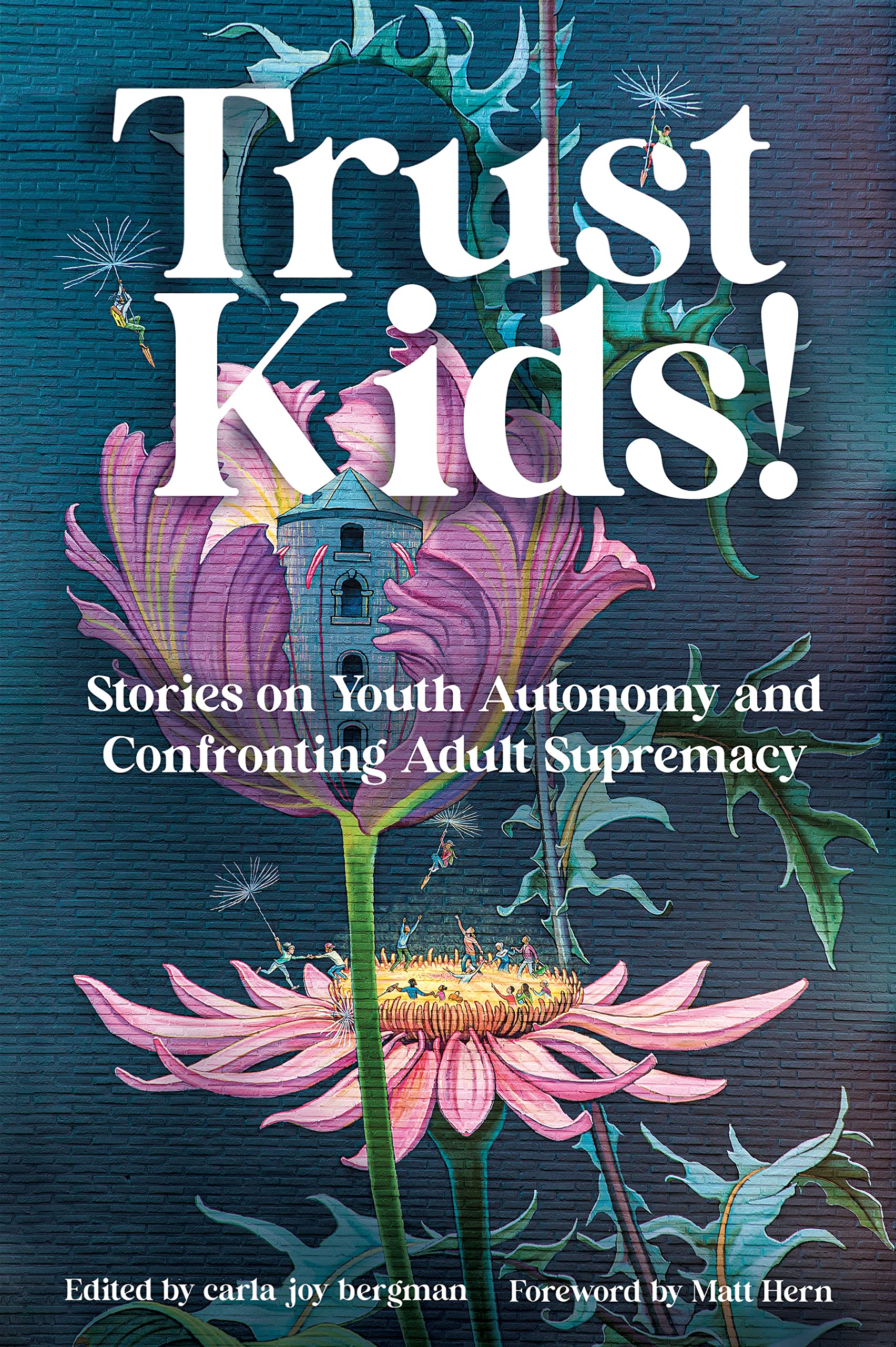Trust Kids!: Stories on Youth Autonomy and Confronting Adult Supremacy The Happy Book Stack