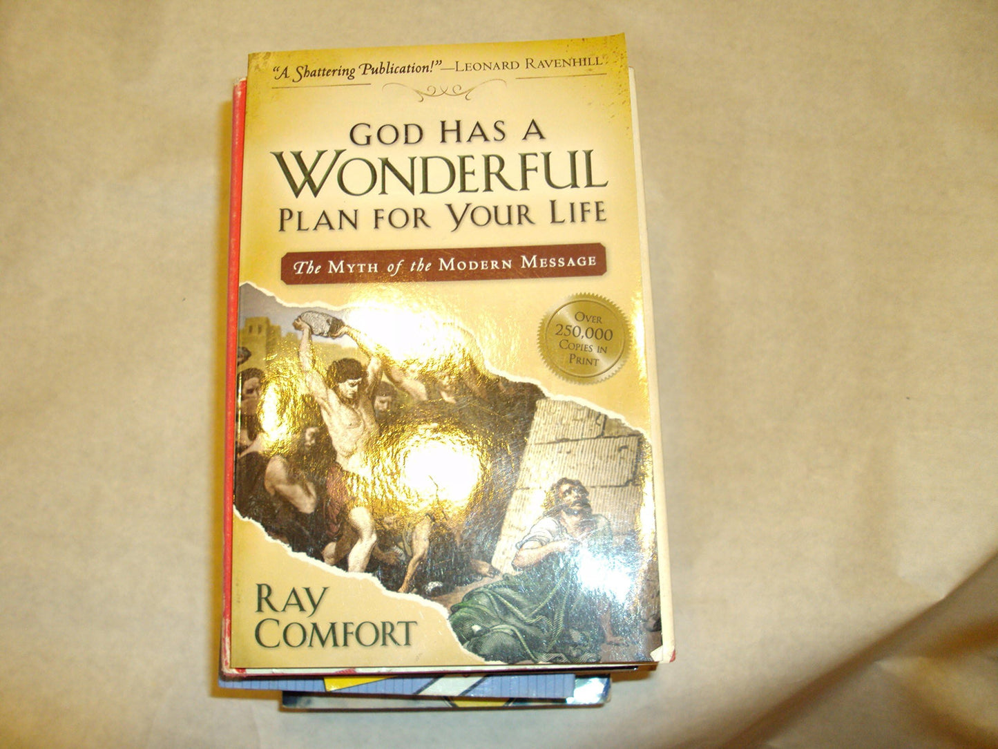 God Has a Wonderful Plan for Your Life: The Myth of the Modern Message The Happy Book Stack