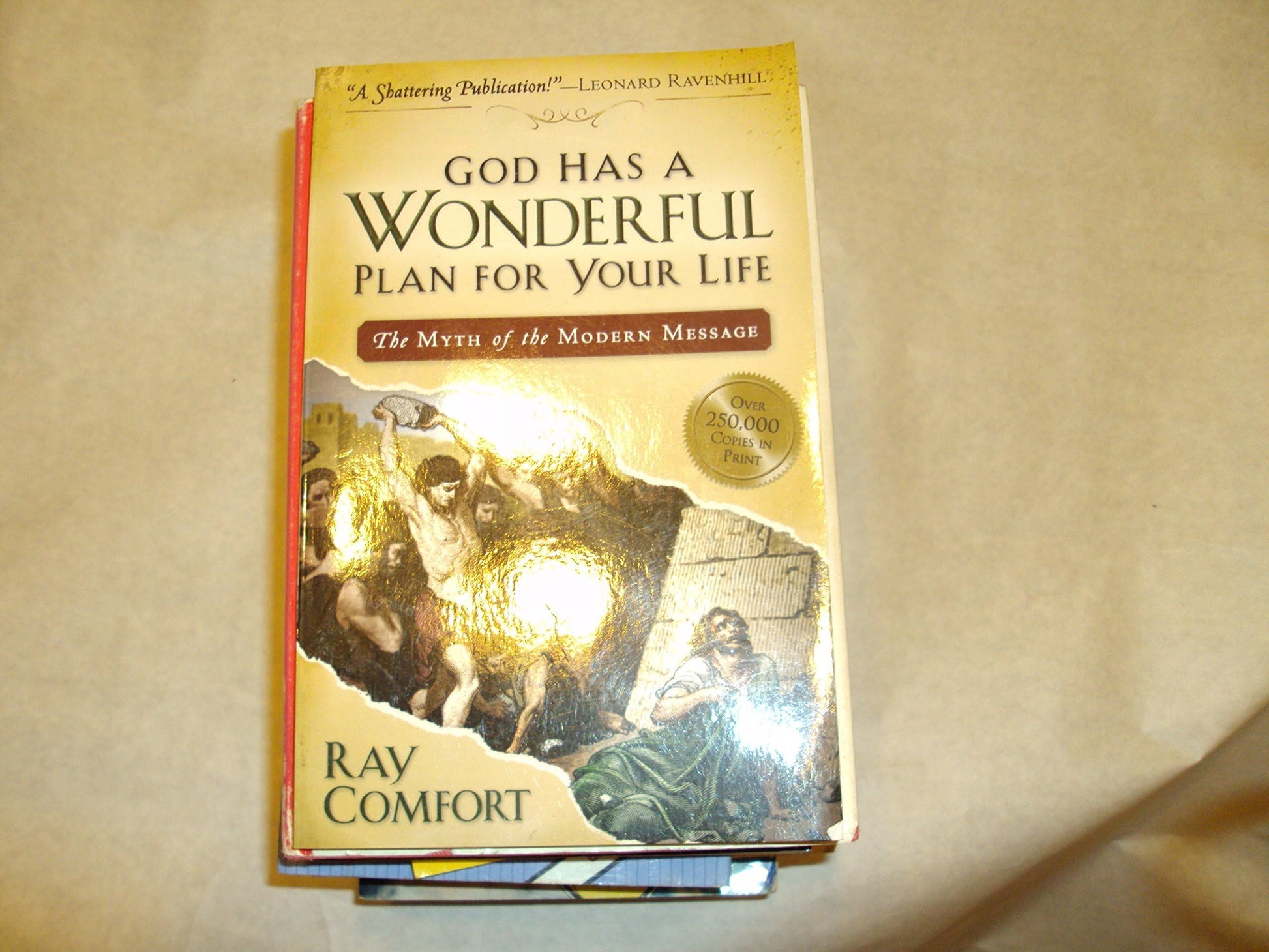 God Has a Wonderful Plan for Your Life: The Myth of the Modern Message The Happy Book Stack