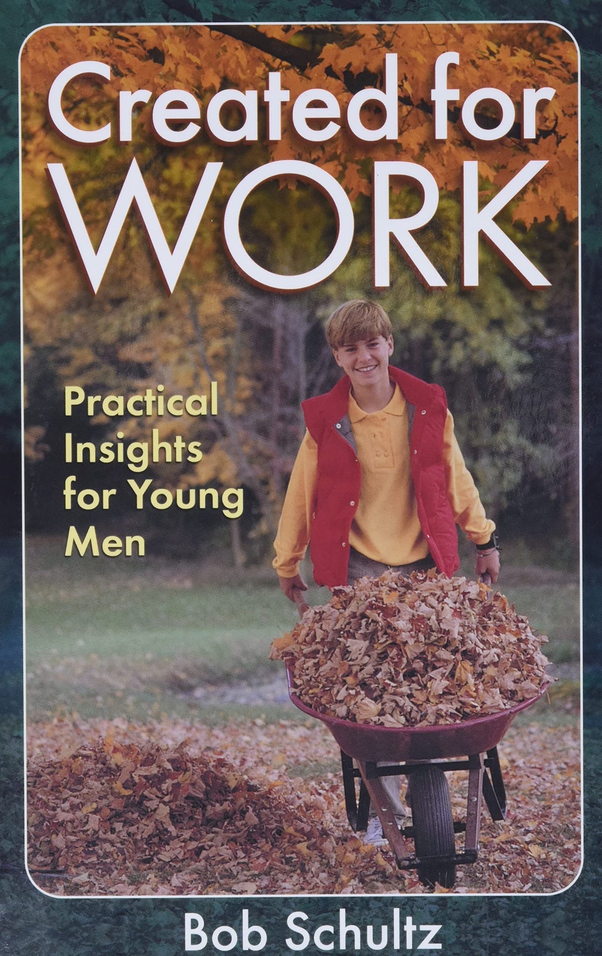 Created for Work: Practical Insights for Young Men The Happy Book Stack