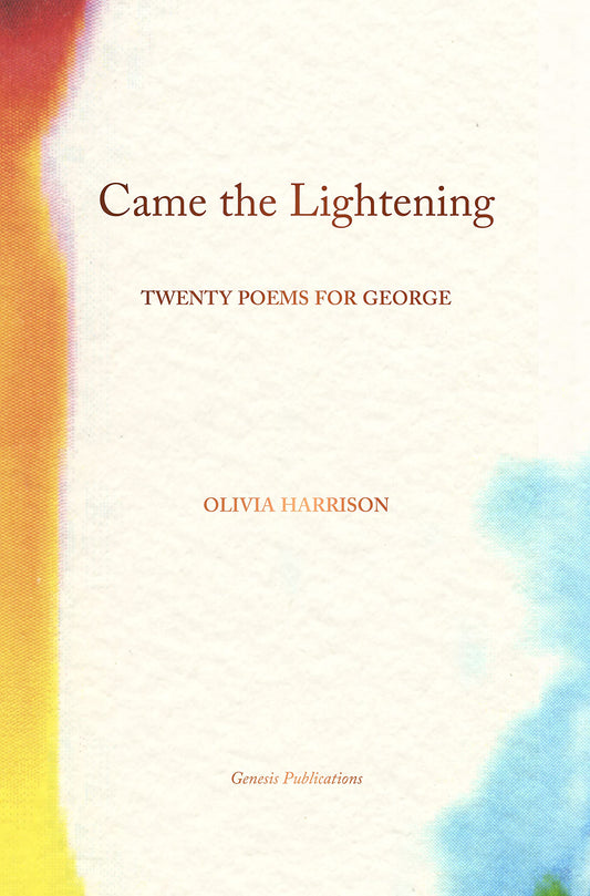 Came the Lightening: Twenty Poems for George The Happy Book Stack