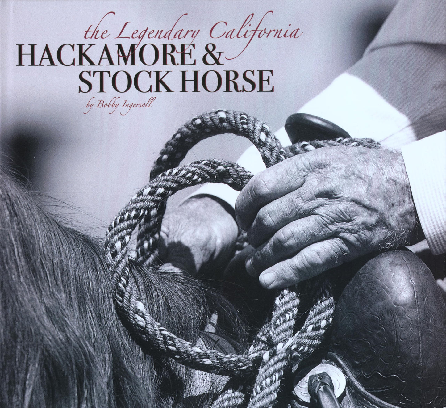 Legendary California Hackamore & Stock Horse - 6314