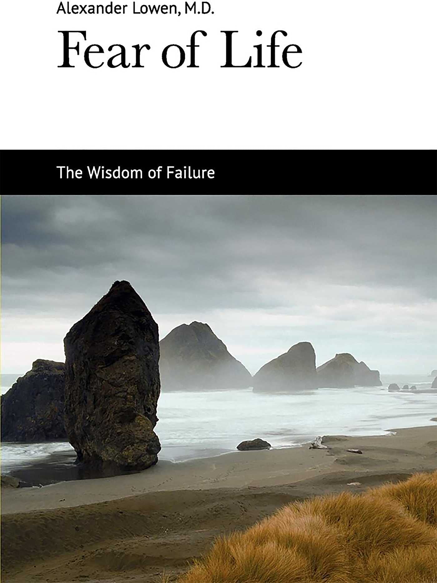 Fear of Life The Happy Book Stack