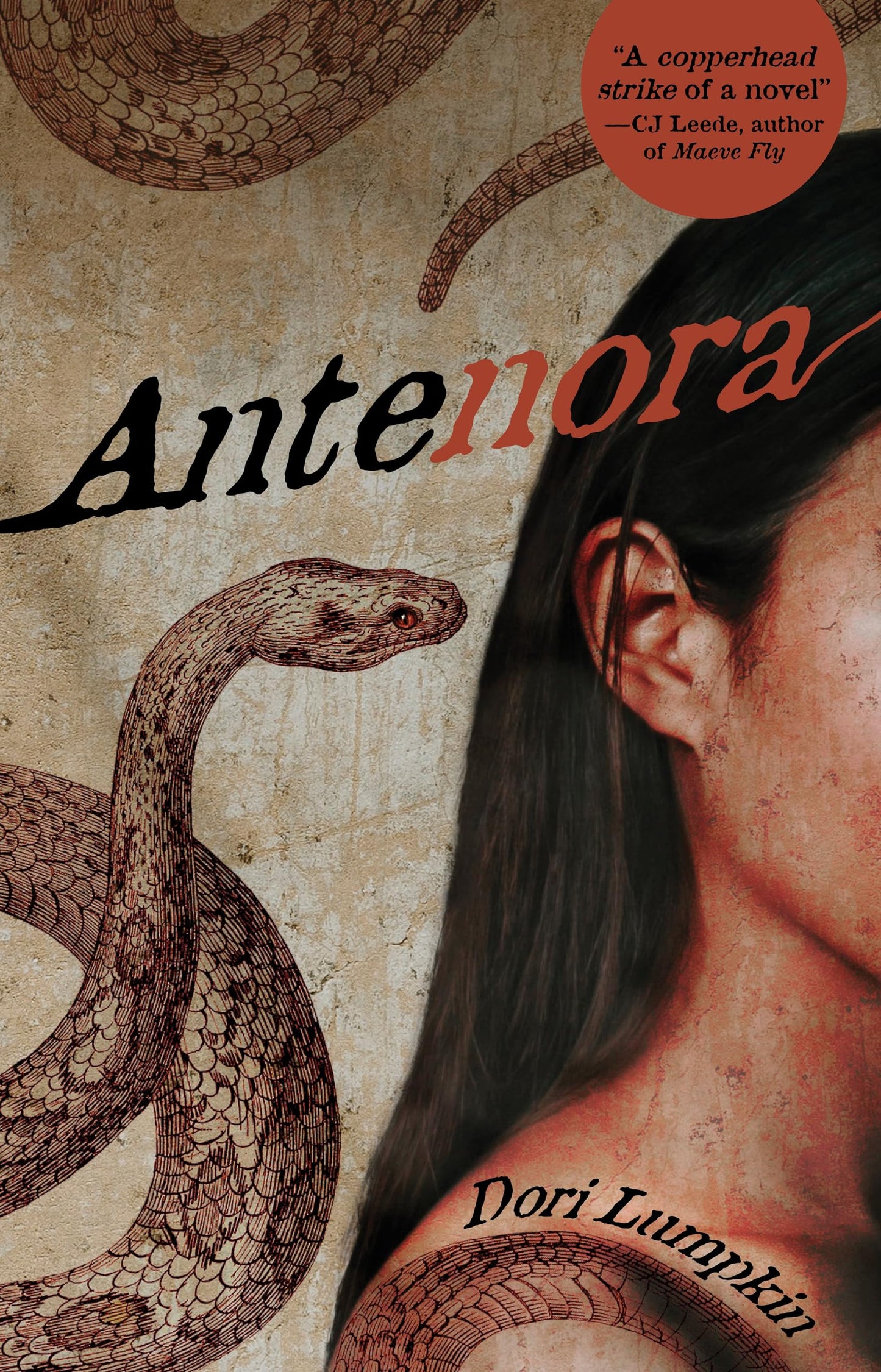 Antenora - 3860