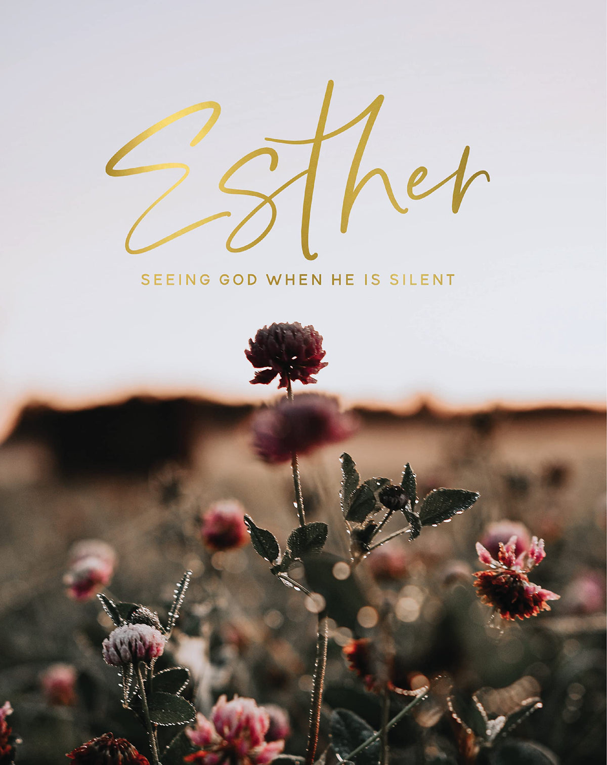 Esther: Seeing God When He Is Silent The Happy Book Stack