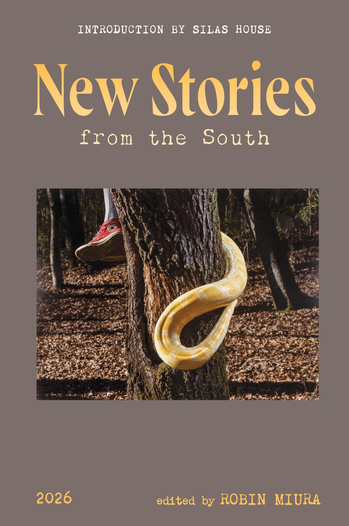 New Stories from the South 2026 The Happy Book Stack