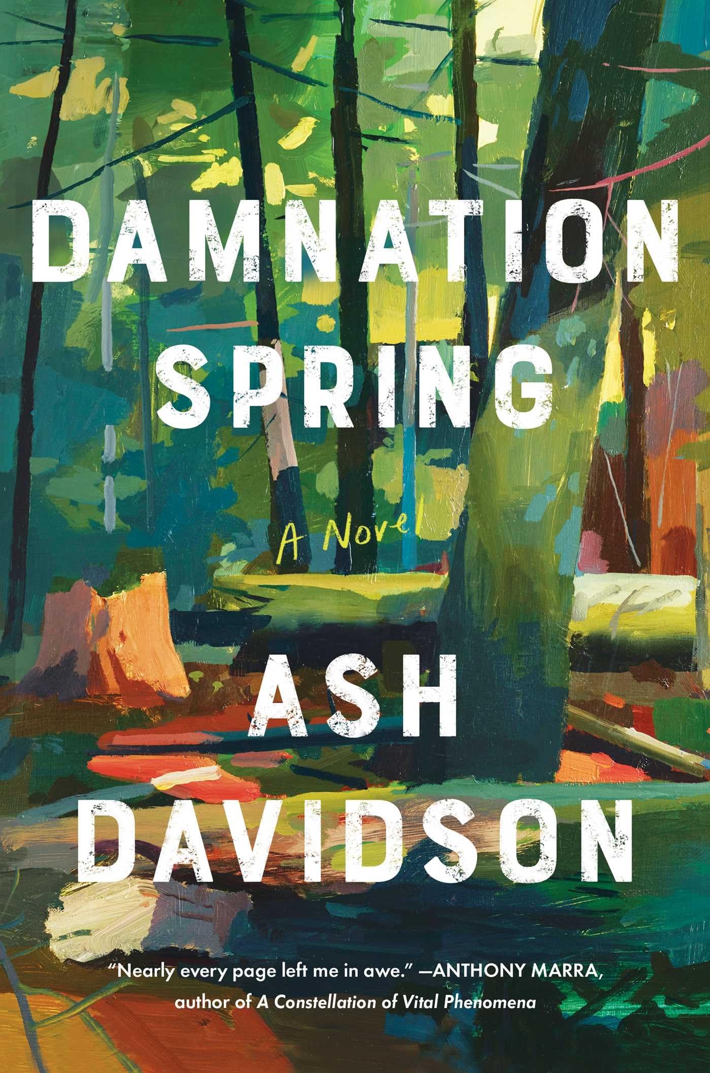 Damnation Spring The Happy Book Stack