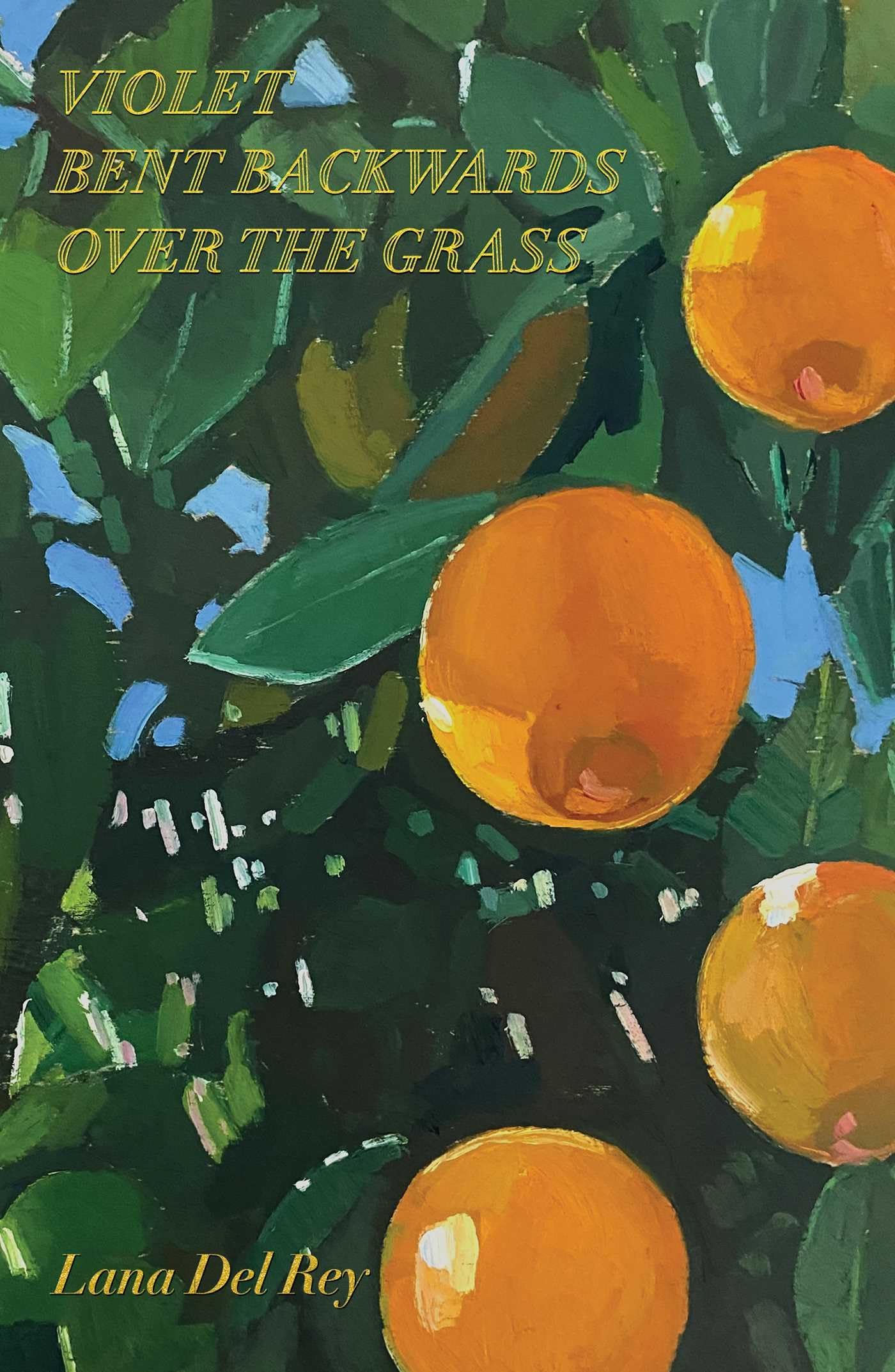 Violet Bent Backwards Over the Grass The Happy Book Stack