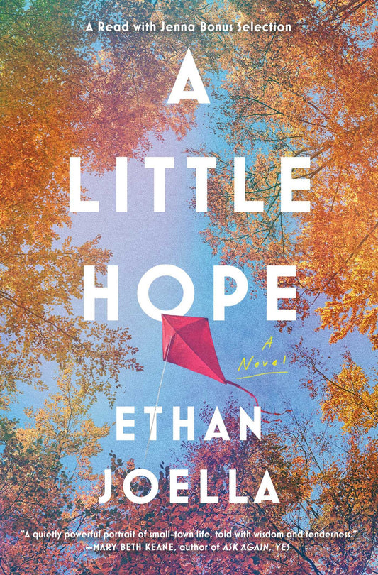 A Little Hope: A Novel - 4651