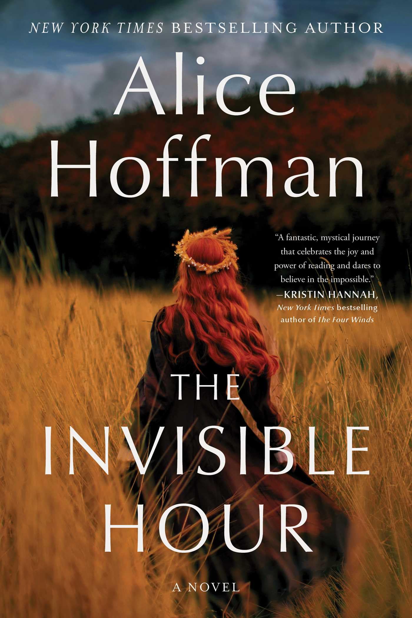 The Invisible Hour: A Novel The Happy Book Stack