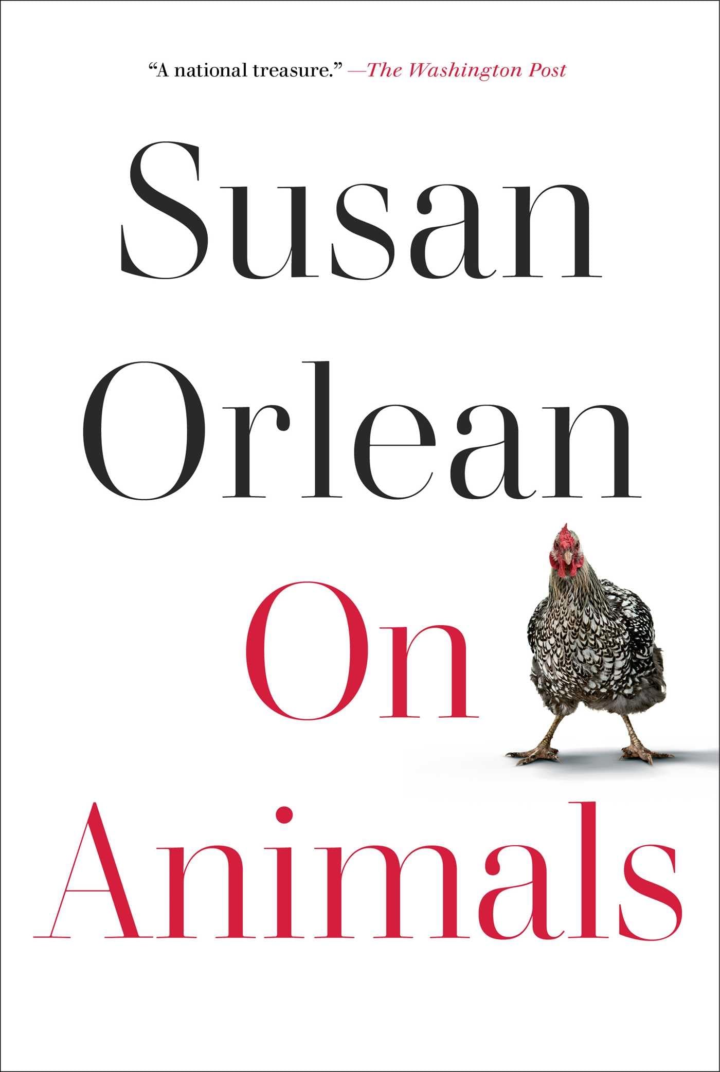 On Animals The Happy Book Stack