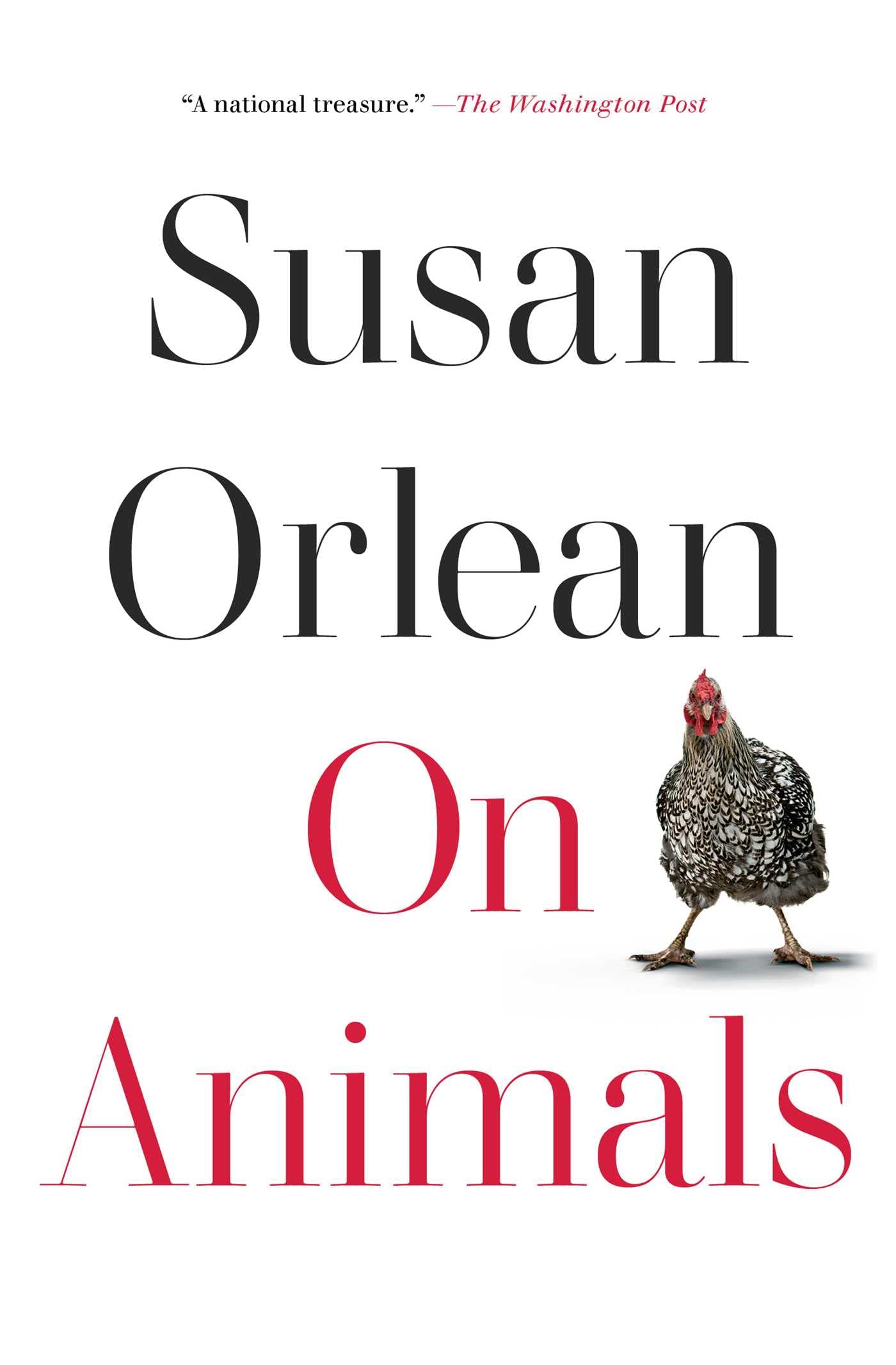 On Animals The Happy Book Stack