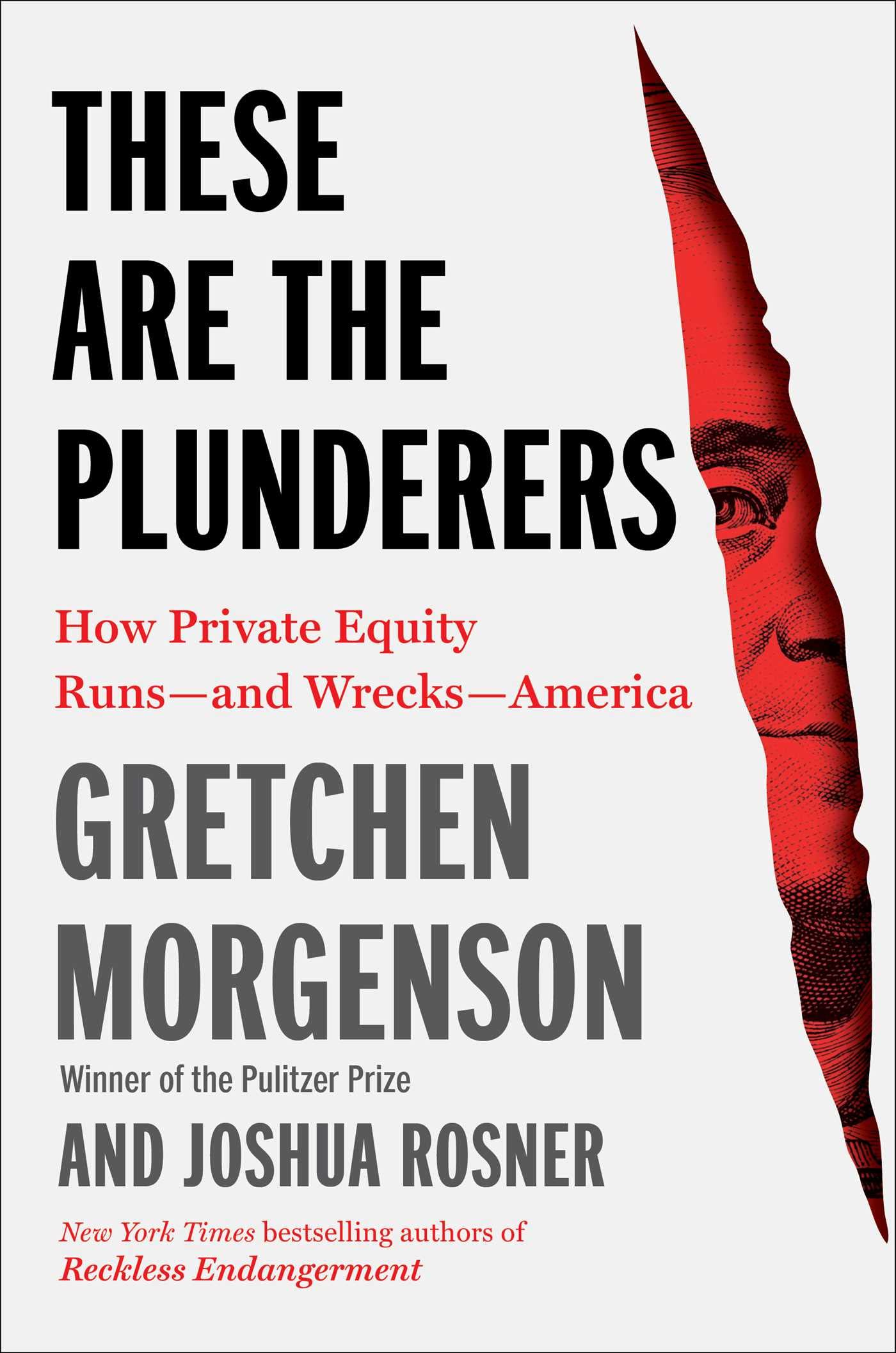 These Are the Plunderers: How Private Equity Runs―and Wrecks―America The Happy Book Stack