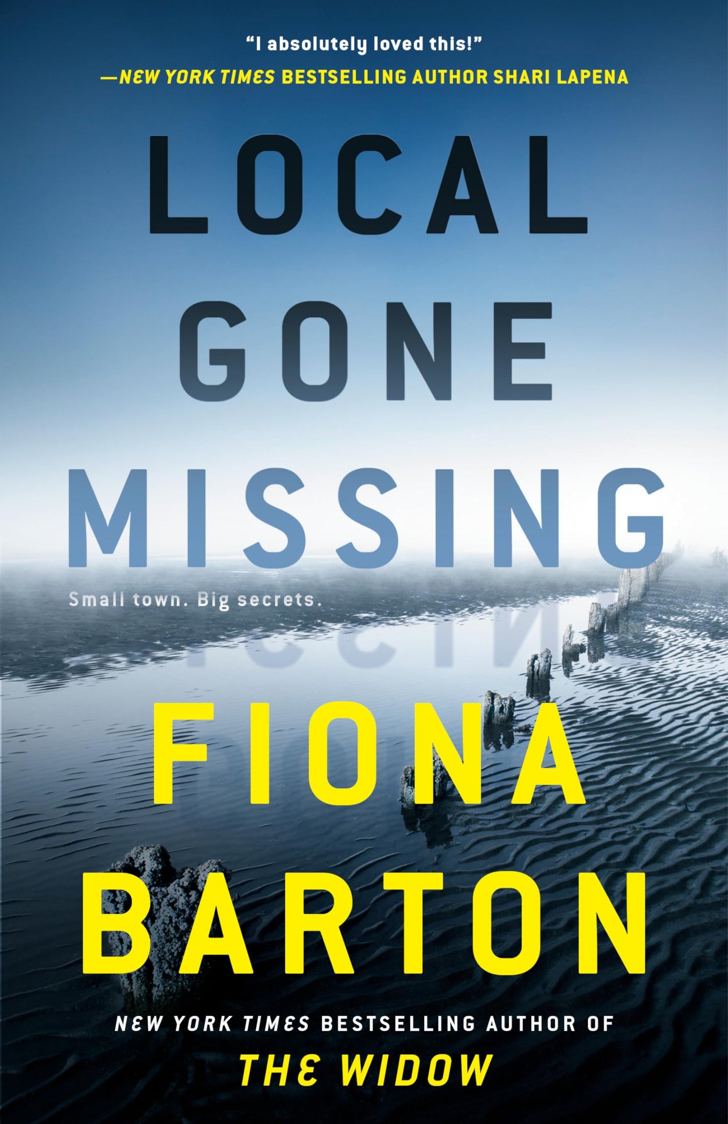 Local Gone Missing The Happy Book Stack