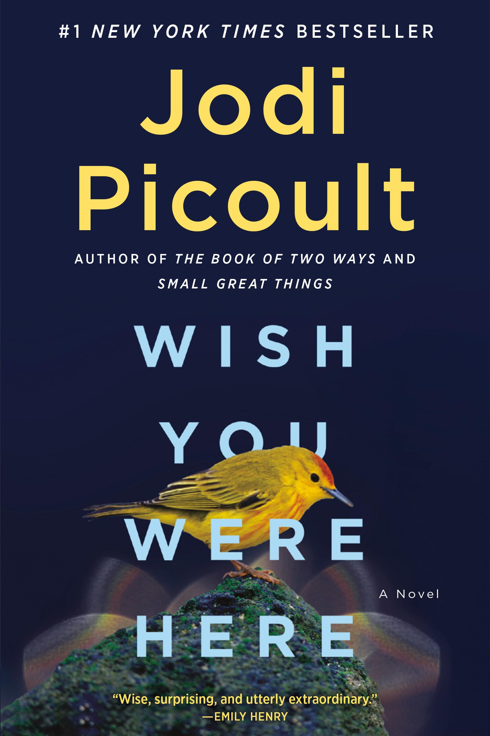 Wish You Were Here: A Novel The Happy Book Stack