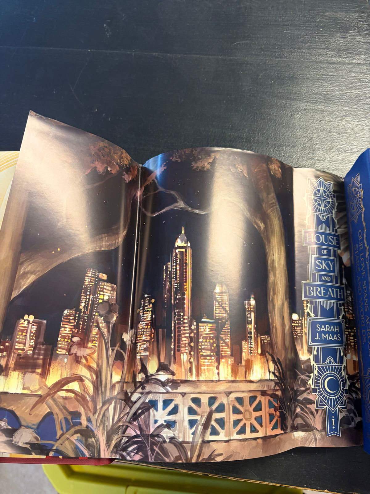 Crescent City by Sarah J. Maas – Illumicrate Exclusive Editions: House of Earth and Blood & House of Sky and Breath (Books 1–2) Illumicrate