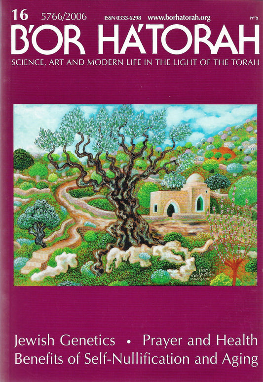 B'Or Ha'Torah volume 16 - 1071