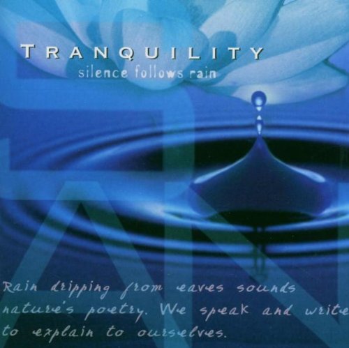Tranquility - Silence Follows Rain The Happy Book Stack