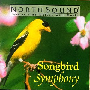 Songbird Symphony The Happy Book Stack