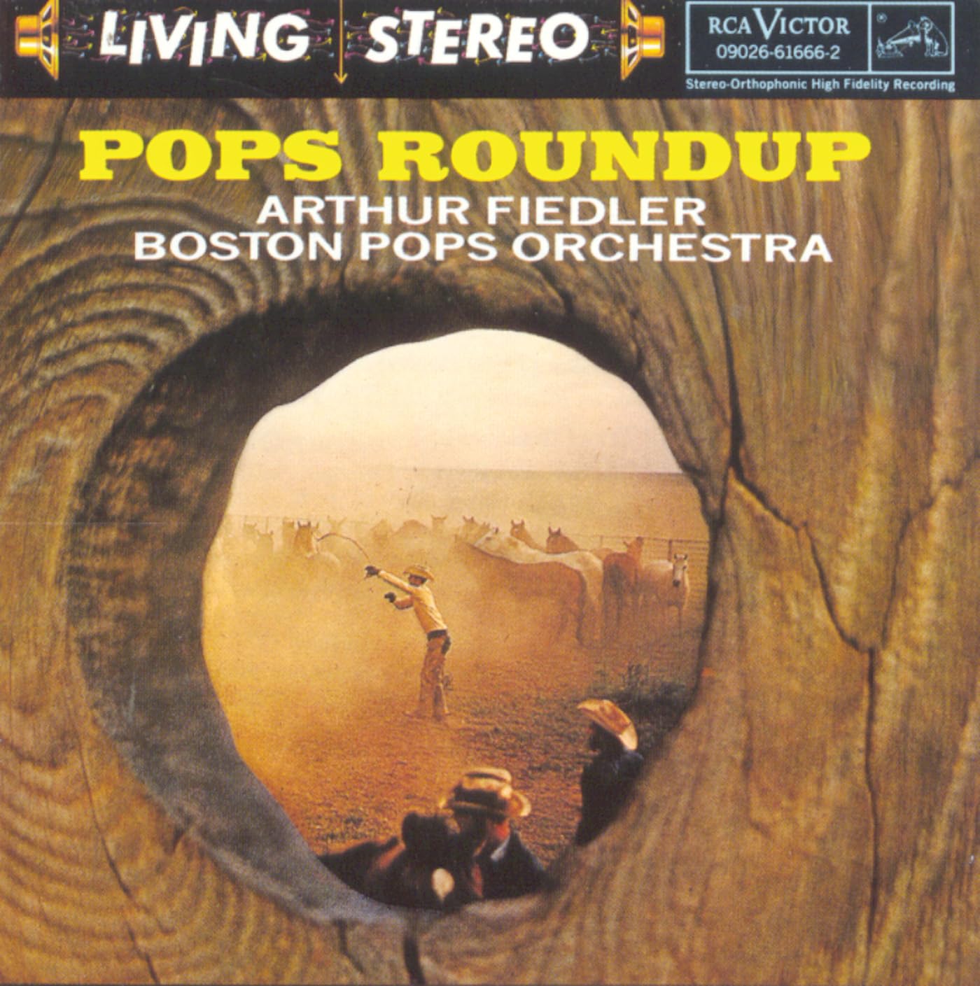 Pops Roundup The Happy Book Stack