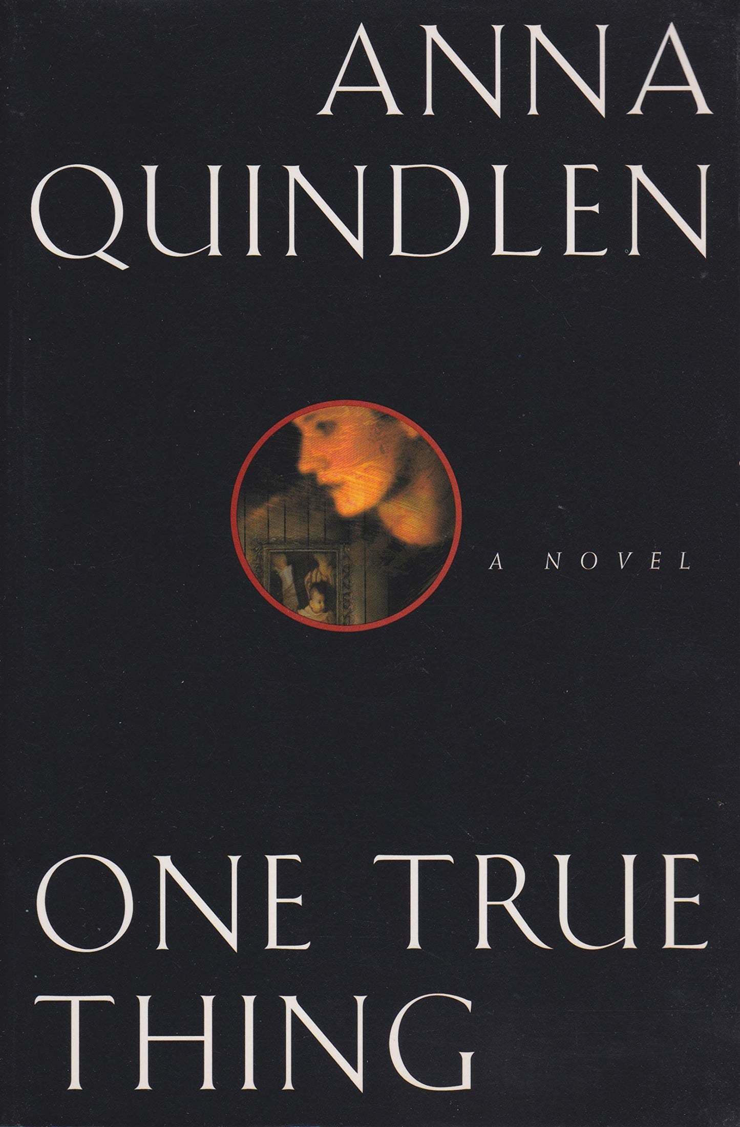 One True Thing The Happy Book Stack