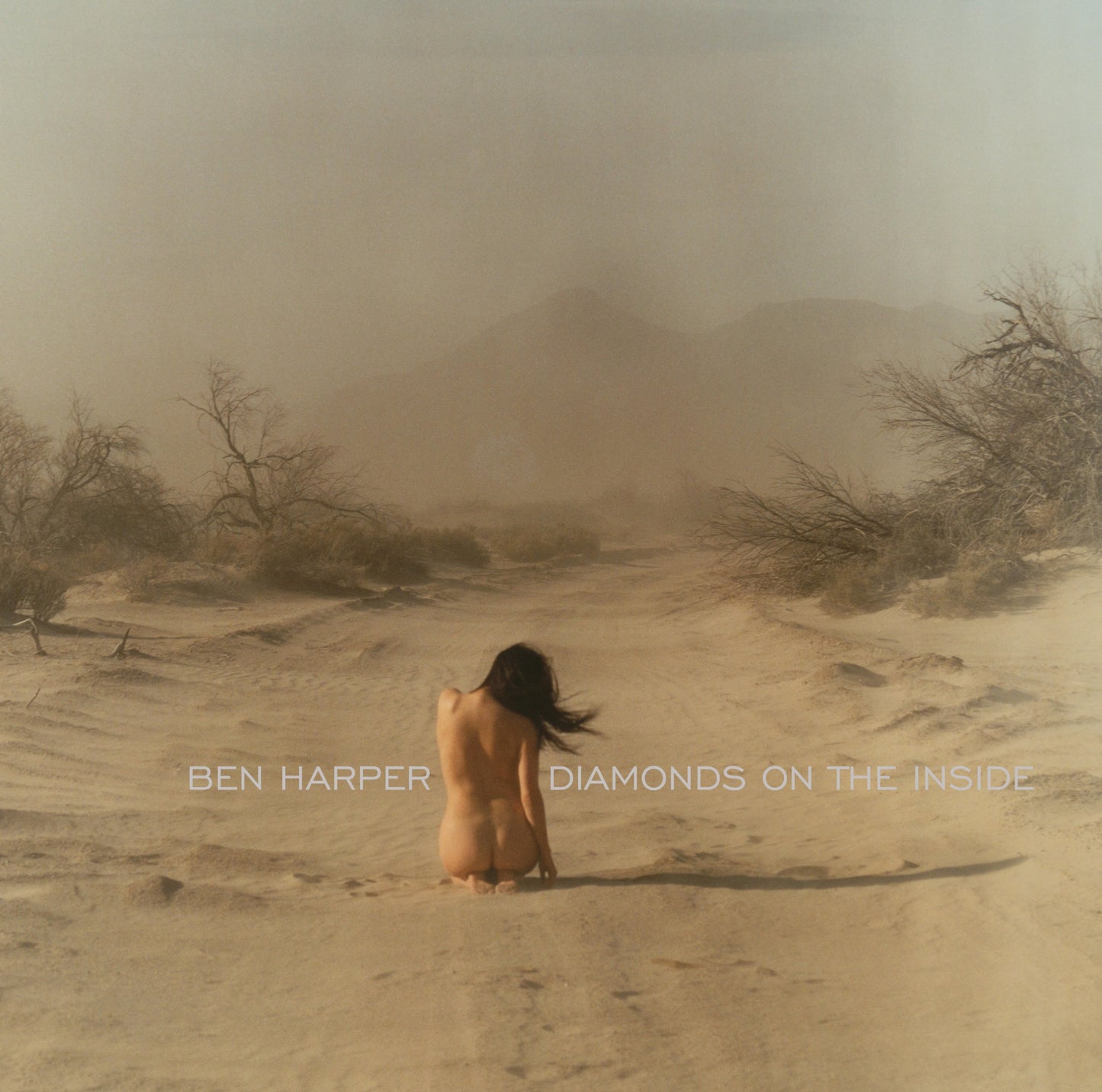 Diamonds on the Inside - 3313