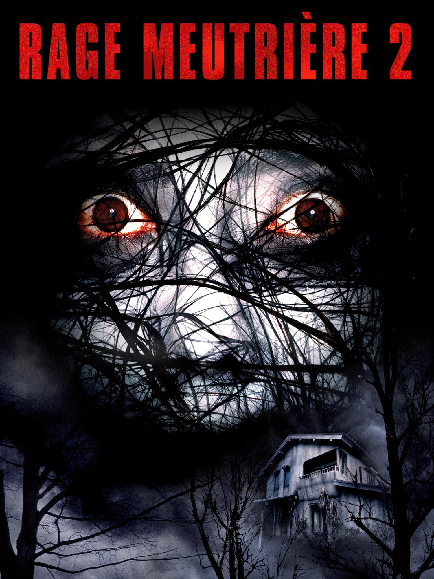 The Grudge 2 (Unrated) The Happy Book Stack