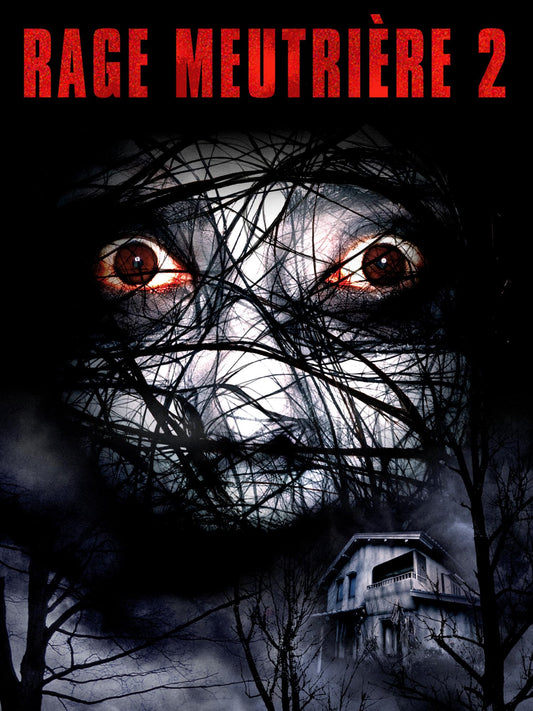 The Grudge 2 (Unrated) The Happy Book Stack