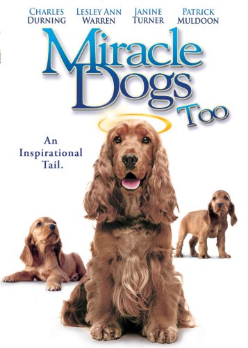 Miracle Dogs Too The Happy Book Stack