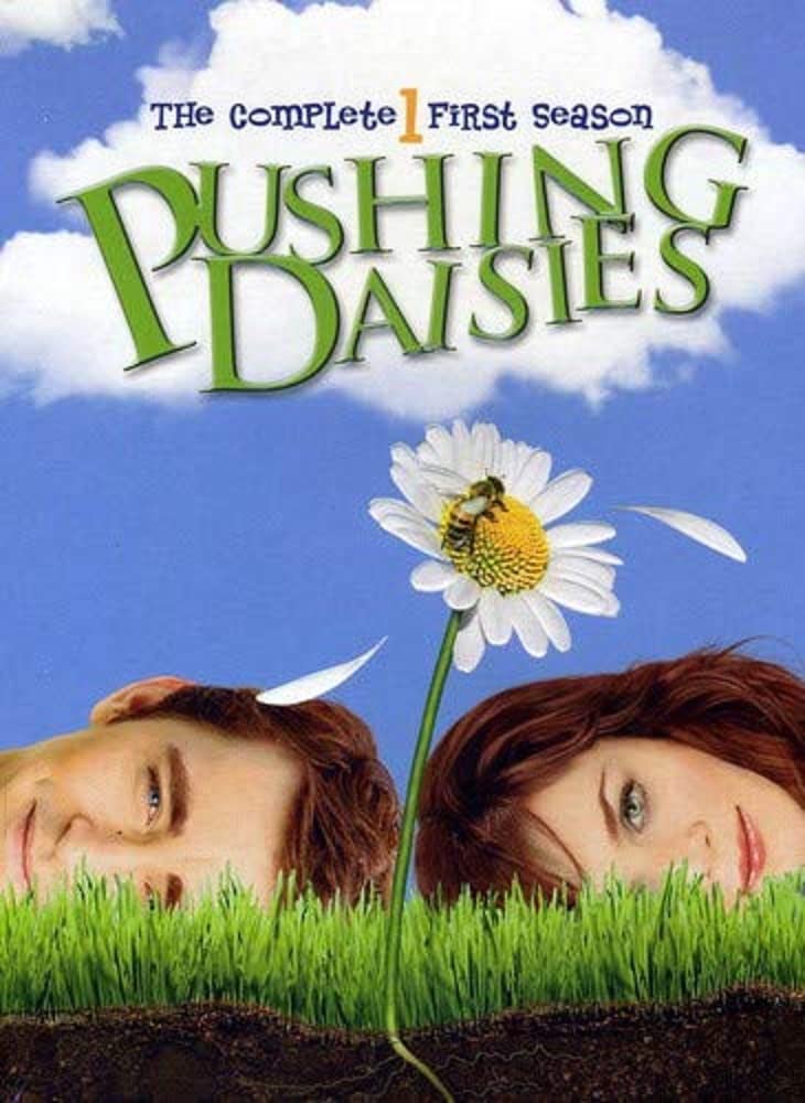 Pushing Daisies: The Complete First Season (DVD) The Happy Book Stack