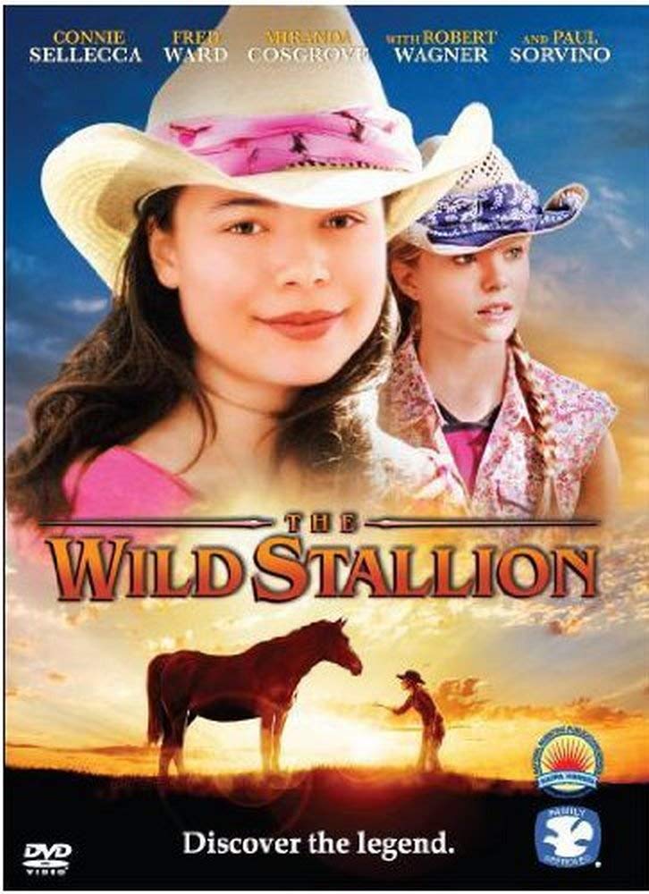 The Wild Stallion The Happy Book Stack