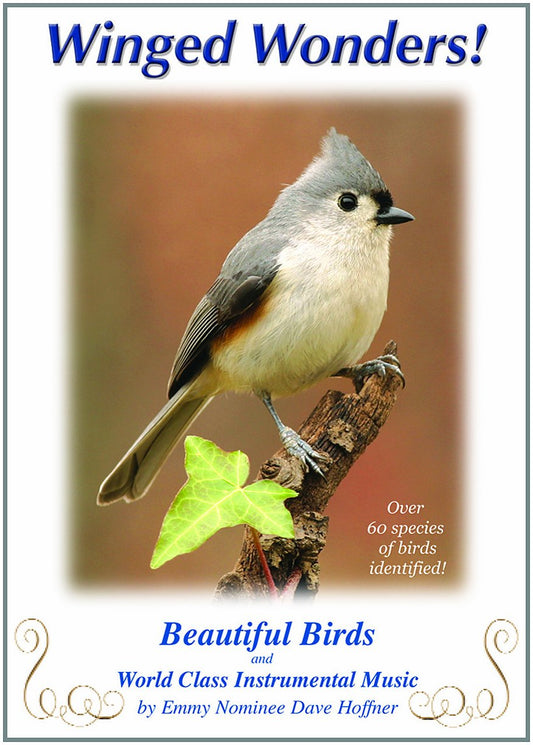 Winged Wonders! Beautiful Birds and World Class Instrumental Music - 6462