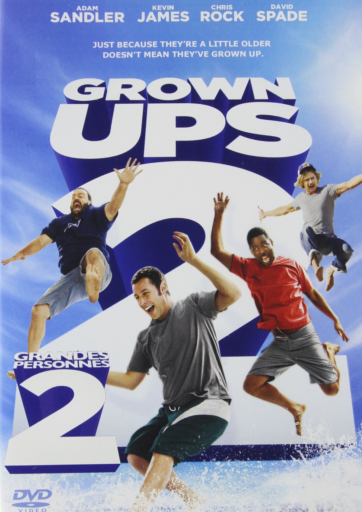 Grown Ups 2 The Happy Book Stack
