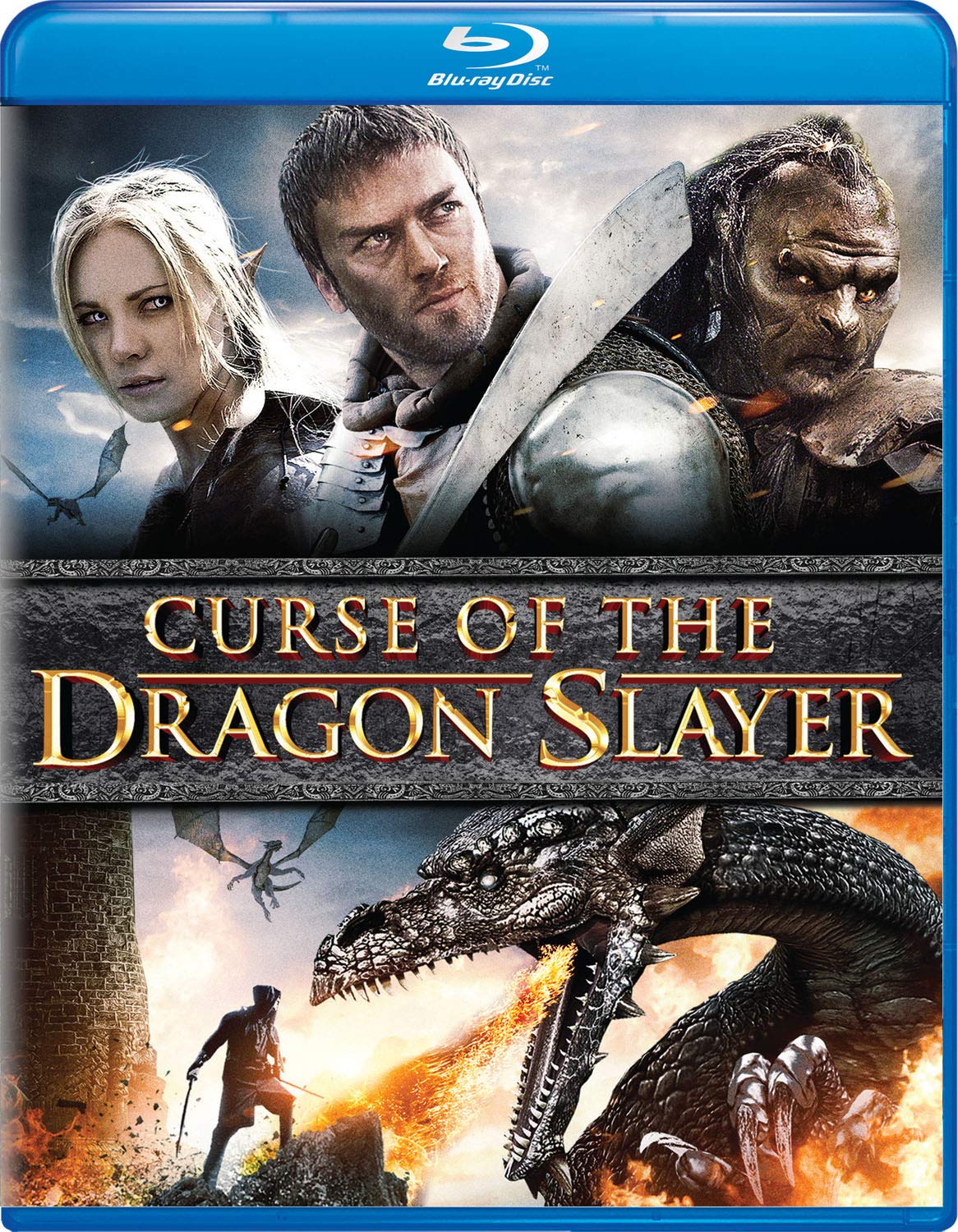 Curse of the Dragon Slayer The Happy Book Stack