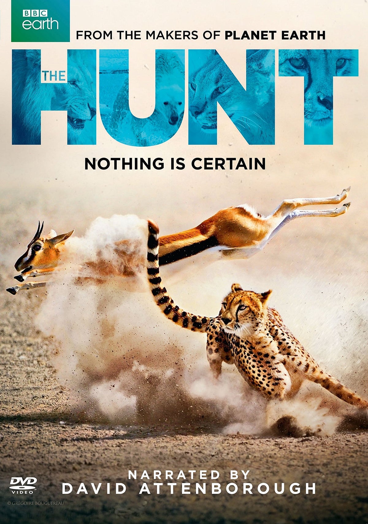 The Hunt The Happy Book Stack
